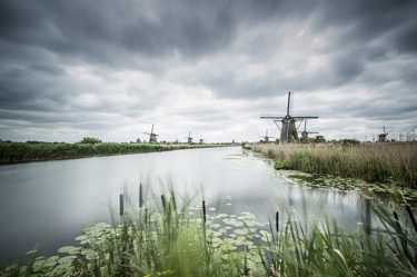 Train, Bus, Flights to Netherlands - Book cheap tickets and compare prices